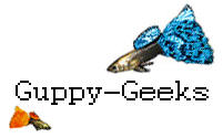 Guppy-Geeks